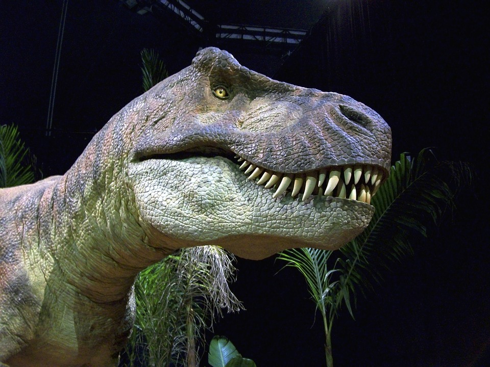 Le Trex n’est devenu énorme qu