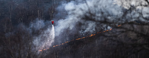 Un feu de forêt se propage rapidement dans le Tessin