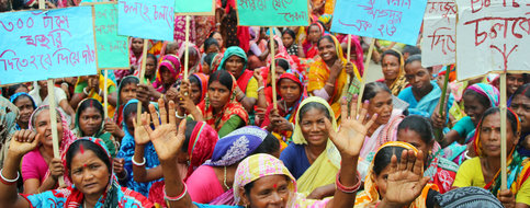 Au Bangladesh, des ouvriers du thé entrent en grève