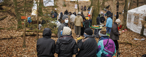 Des activistes occupent une forêt à Vufflens-la-Ville, dans le canton de Vaud