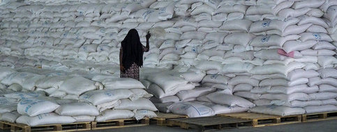 Les Etats-Unis et le PAM suspendent leur aide alimentaire au Tigré, en partie «détournée et vendue»