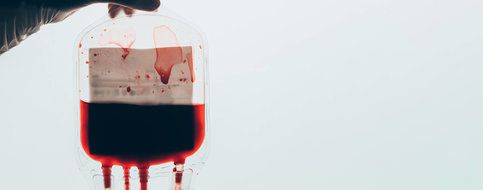 A la découverte des sangs rares, précieux trésor encore méconnu