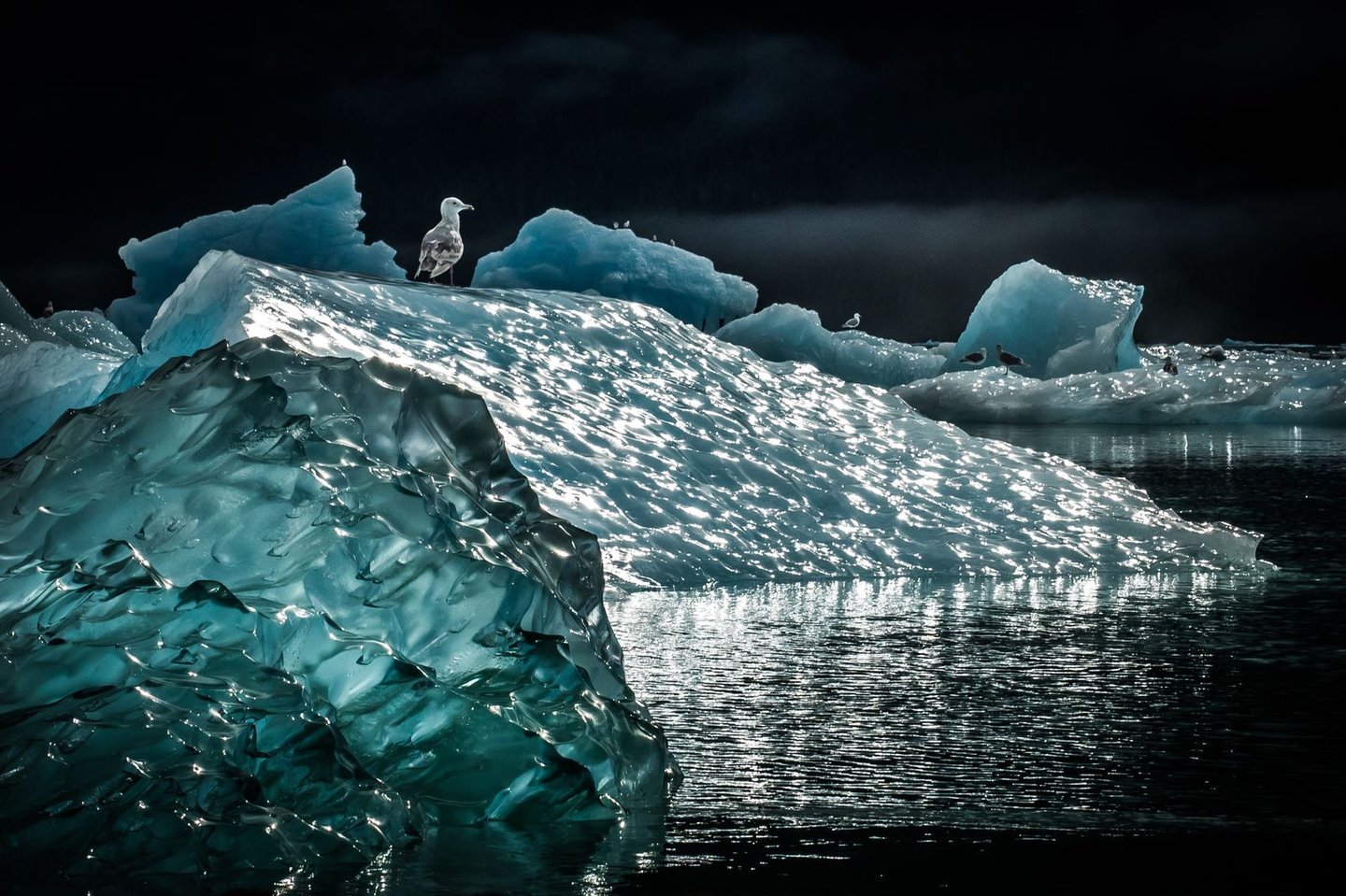 Iceberg Inverse Jupiter En Hd Et Herbier Numerique Une Semaine De Sciences En Images Le Temps
