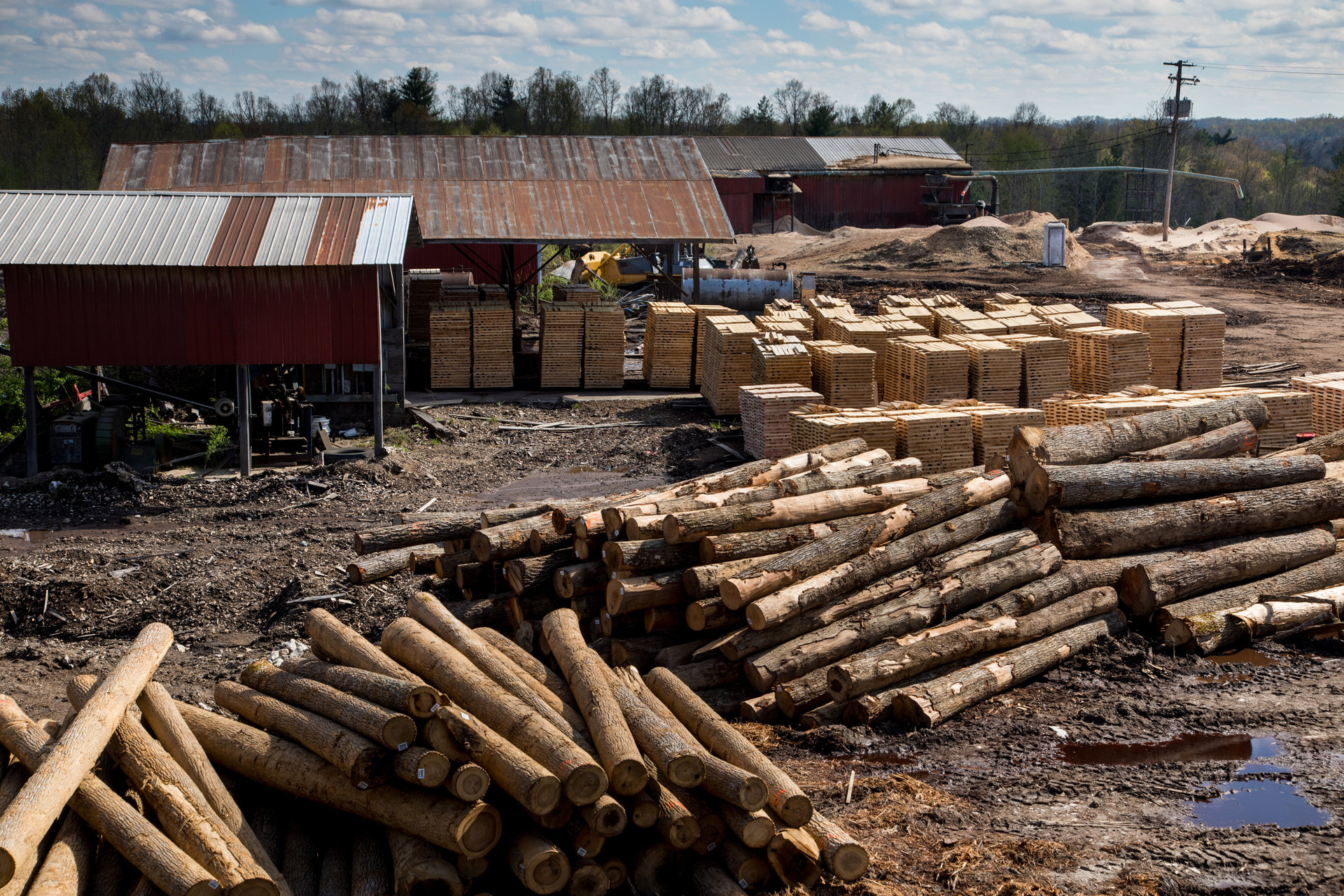 Peu d’exploitations forestières subsistent à Beattyville. Peu d’exploitations forestières subsistent à Beattyville.