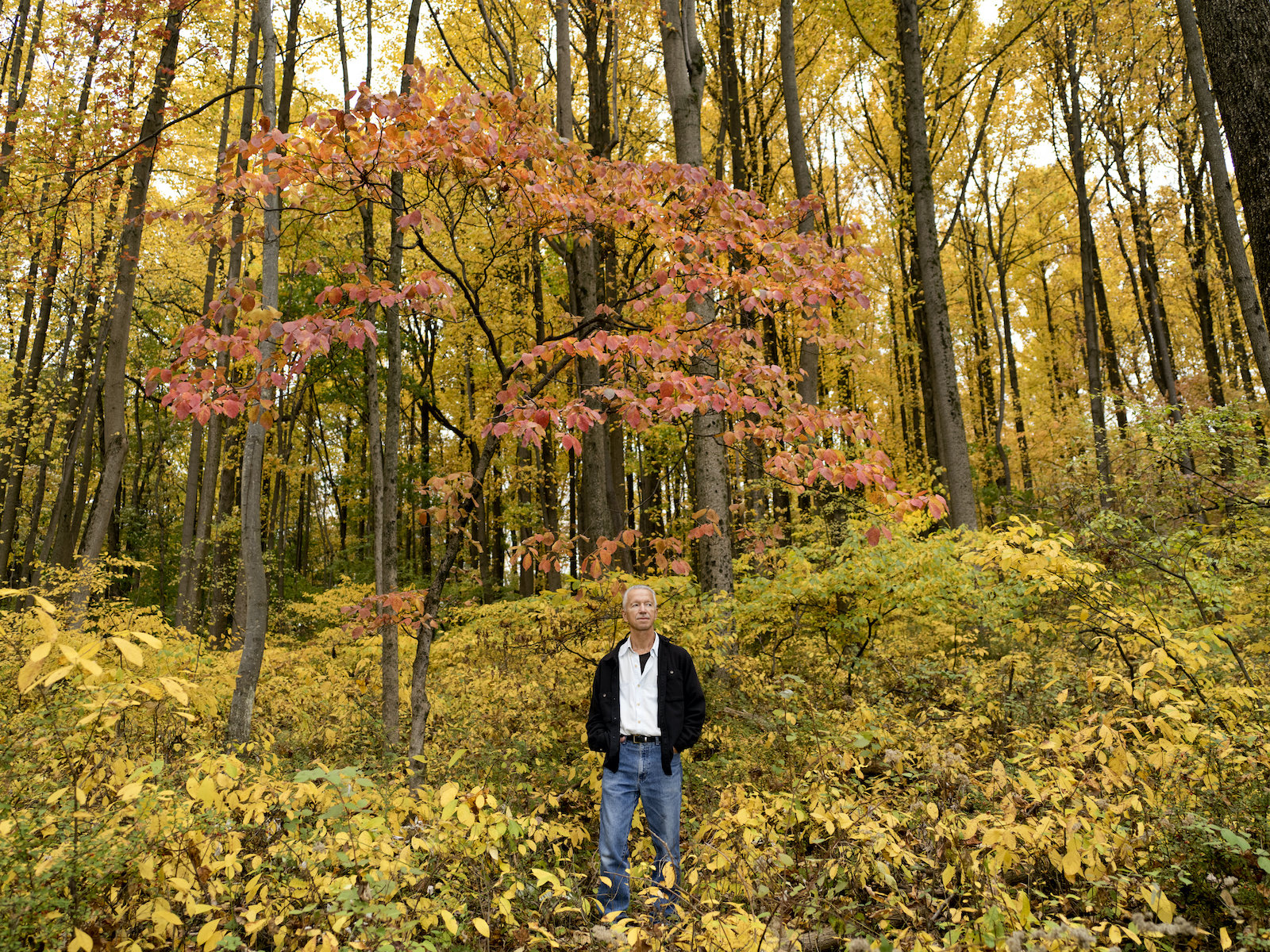 Dans la forêt entourant sa propriété, en 2016.