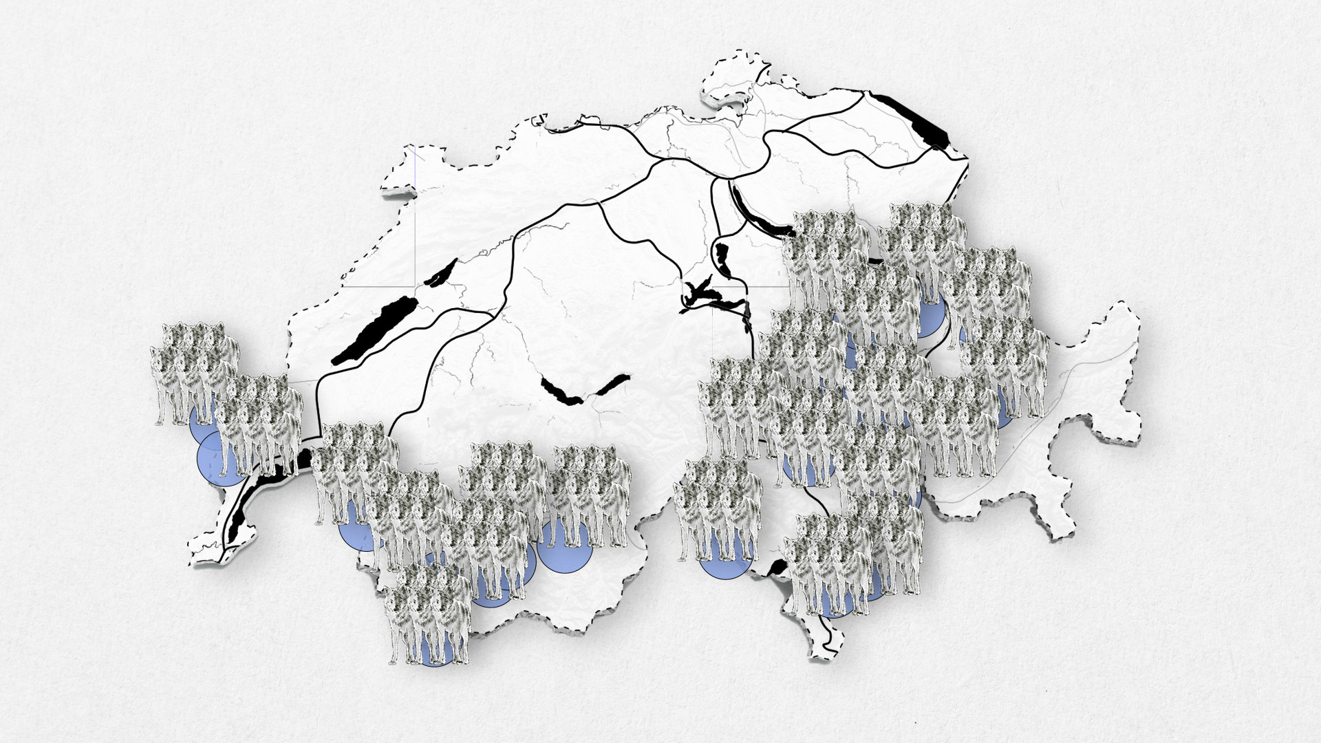En 2023, 23 meutes, dont 5 transfrontalières, sont présentes sur le territoire suisse En 2023, 23 meutes, dont 5 transfrontalières, sont présentes sur le territoire suisse