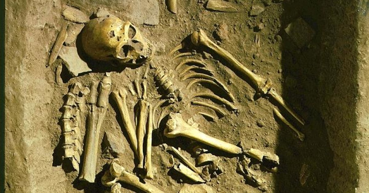 Au Commencement était Une Nouvelle Histoire De L'humanité Avis L’homme de Neandertal, notre compagnon d’humanité à l’intelligence