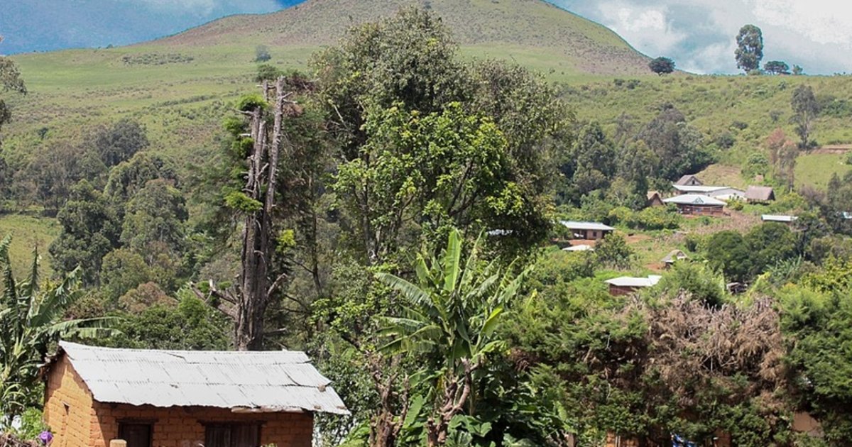 Vingtdeux villageois tués dans le Cameroun anglophone  Le Temps