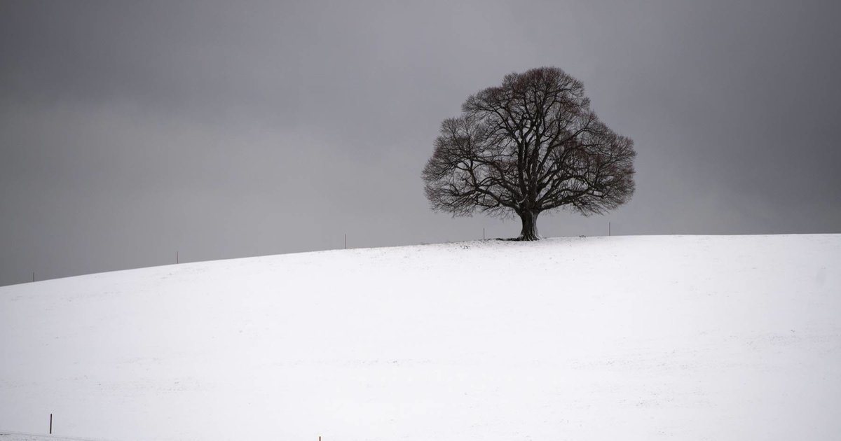 L&rsquo;hiver fait son retour avec de la neige jusqu&rsquo;en plaine