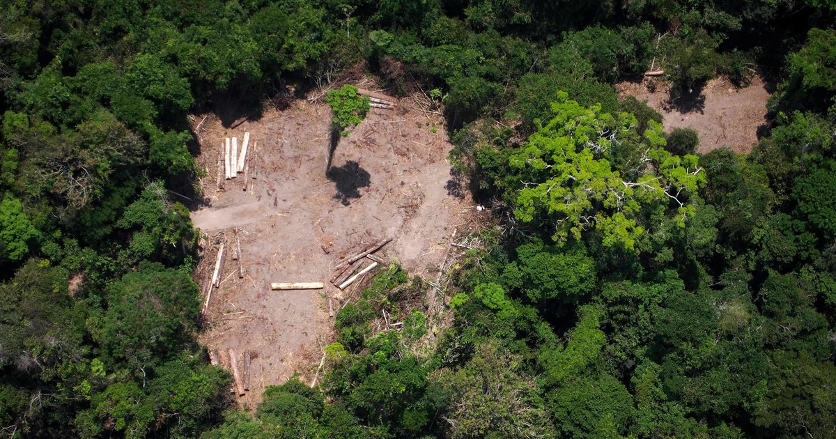 La dégradation des forêts, une menace climatique sous-estimée