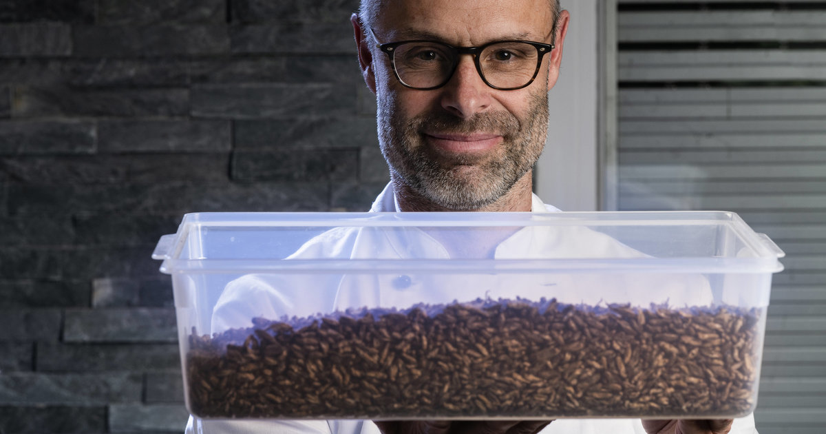 Jean-Yves Cuendet, l’ancien médaillé olympique qui vous fera manger des insectes