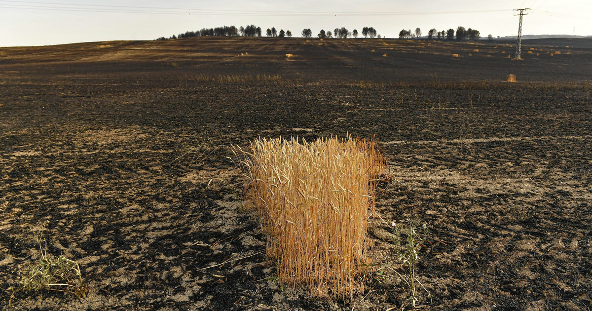 The Iberian Peninsula has suffered from an unprecedented drought for more than a thousand years