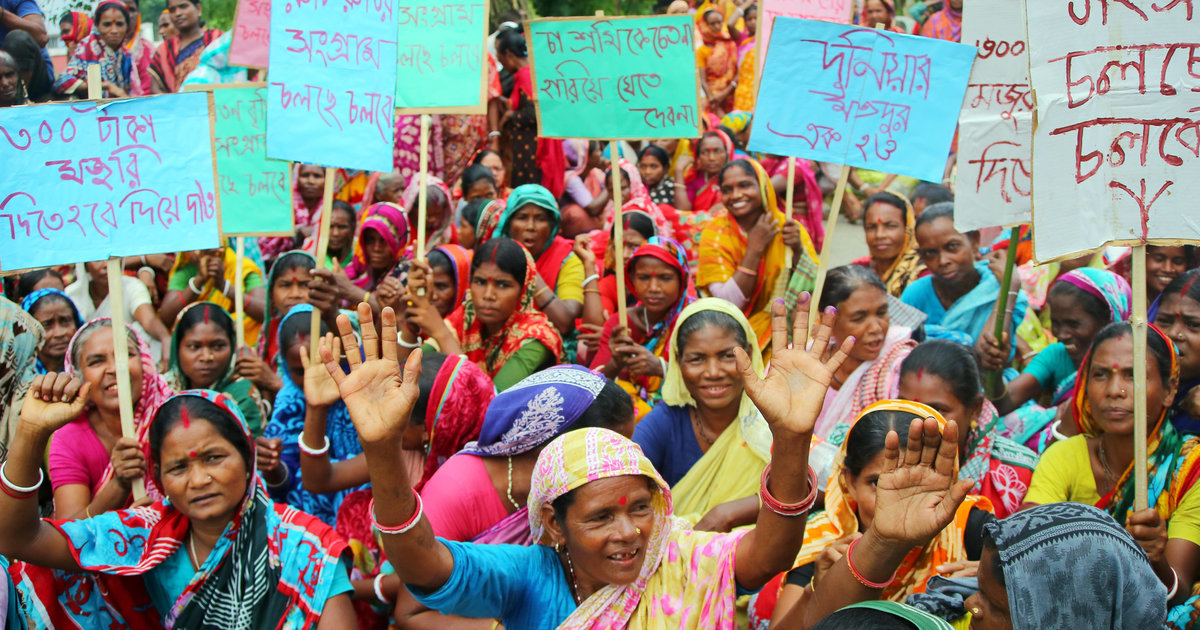 Au Bangladesh, des ouvriers du thé entrent en grève