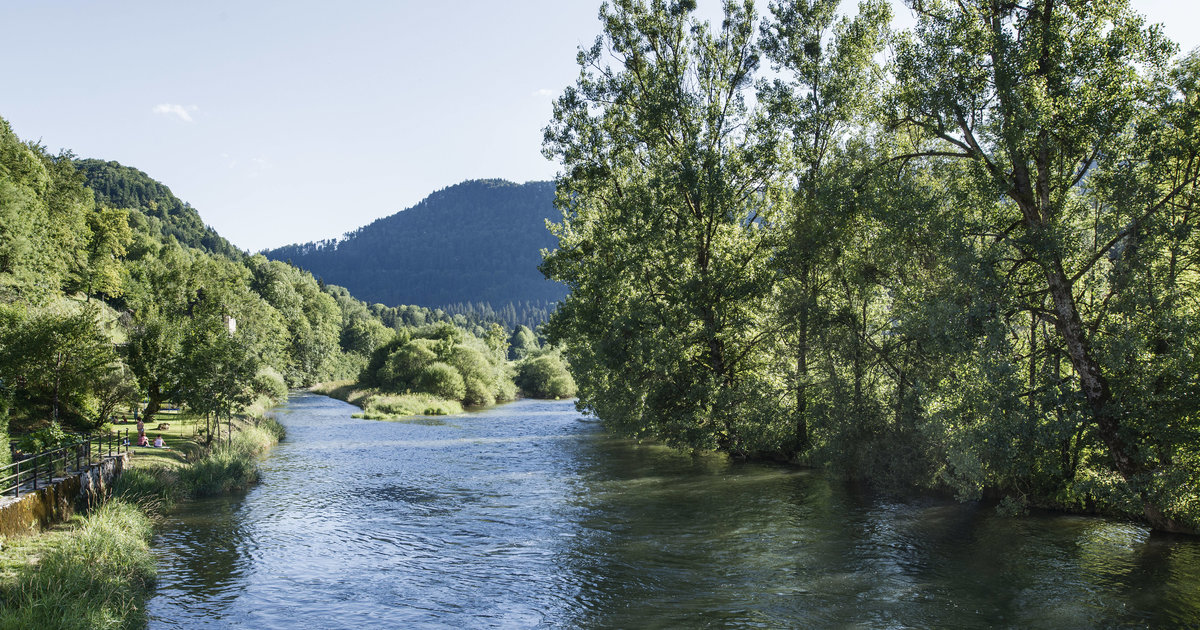 Troubled Waters Stagnate the Health of the Doubs River.